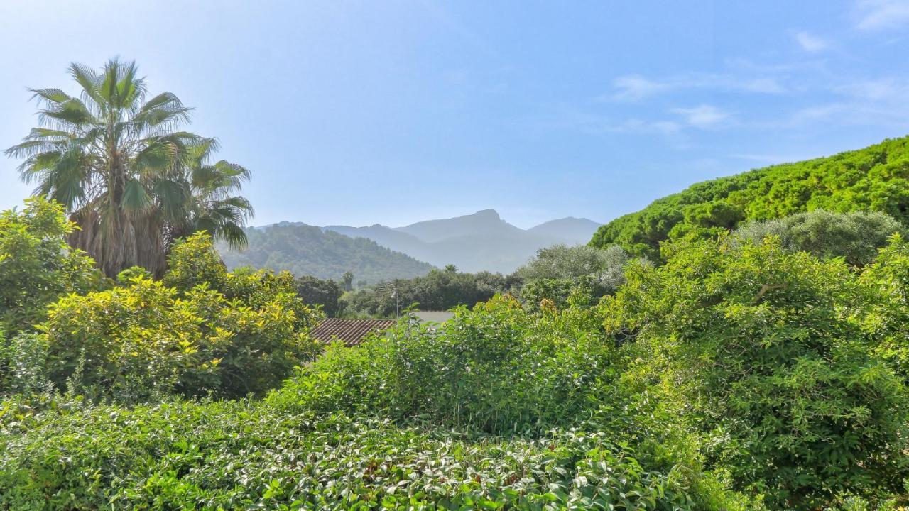 Segui Villa